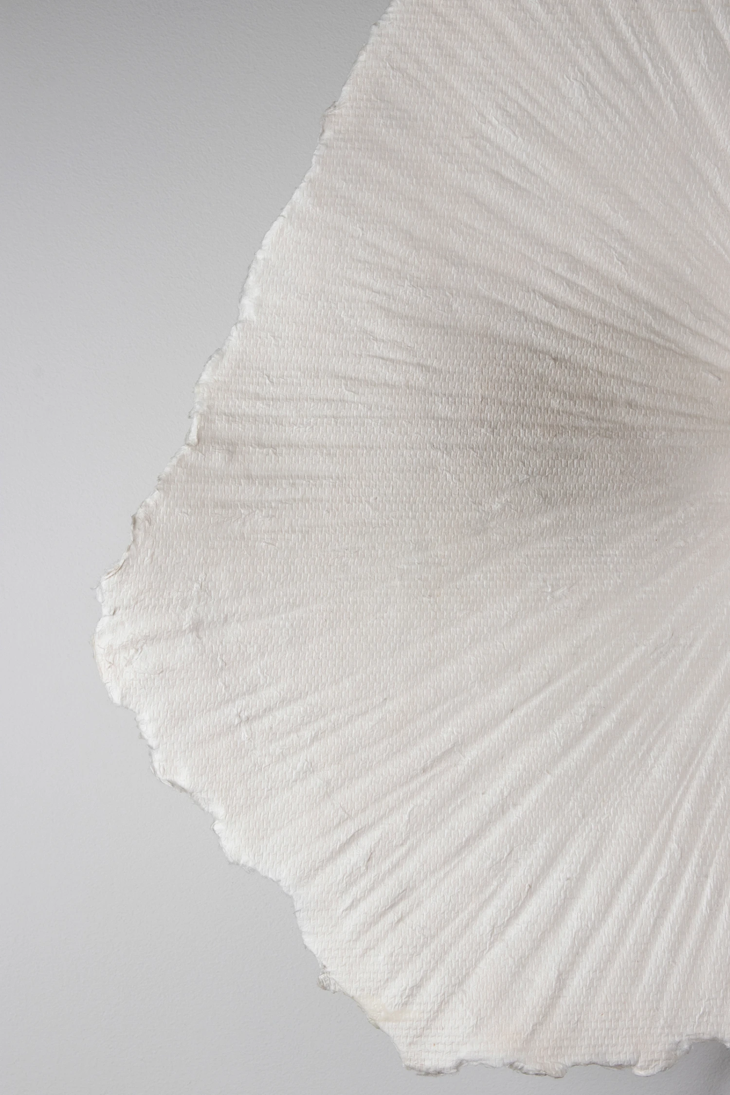 Globen Lighting Tropez Plafondlamp/wandlamp Ø60 Cm - Afbeelding 4